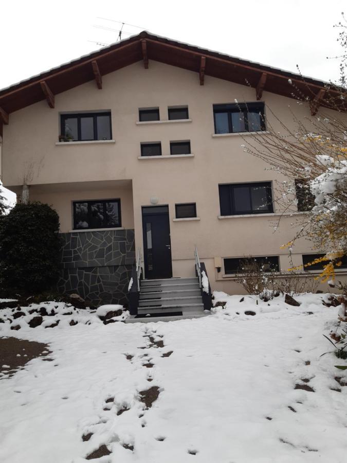Les Pics Verts Apartment Annecy Exterior foto