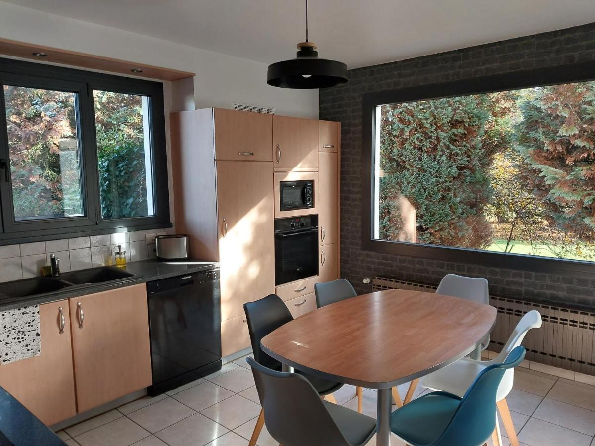 Les Pics Verts Apartment Annecy Exterior foto